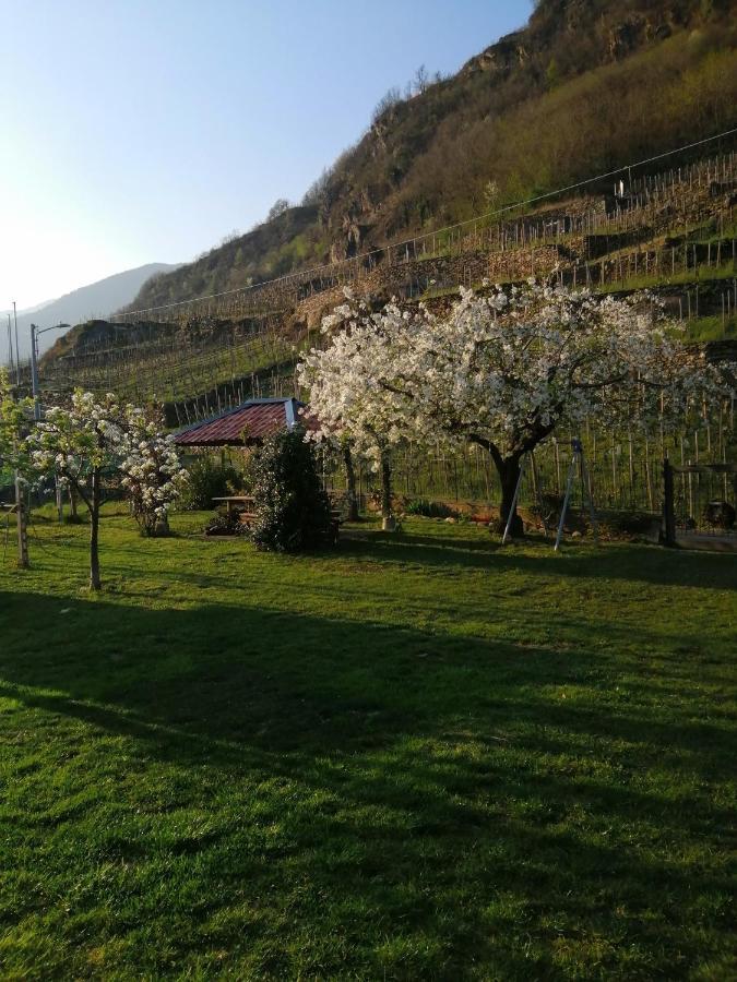 La Cà del CUNFEC Sondrio Exterior foto